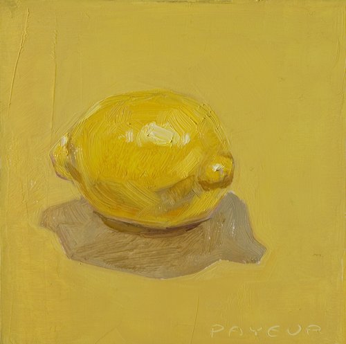 yellow lemons on yellow by Olivier Payeur