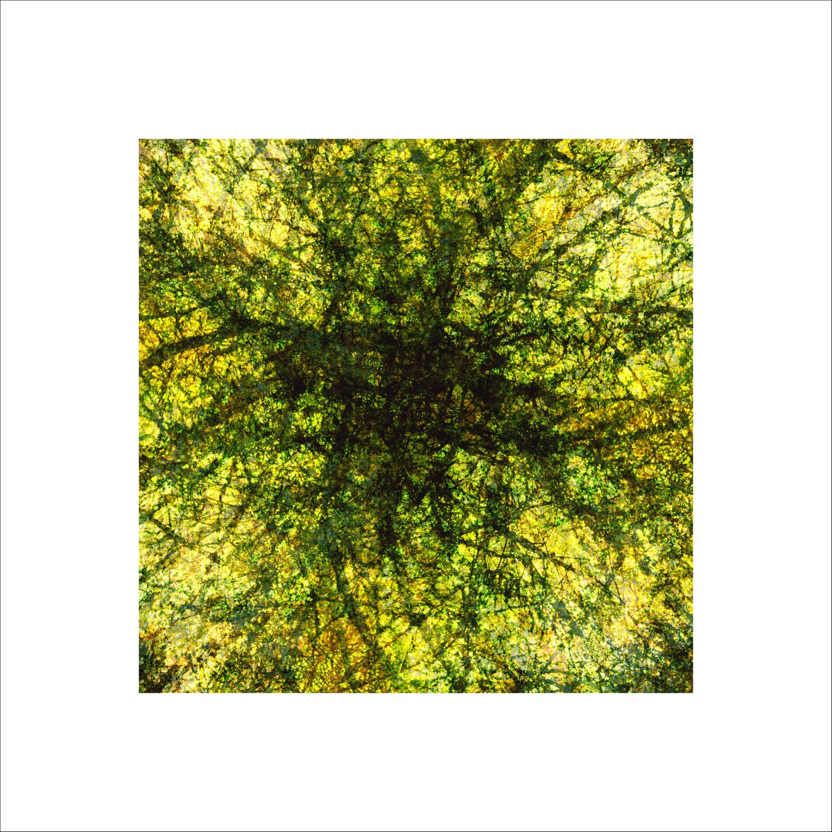 Abstract Photograph By Paul Harrison, 30 X 30", Signs #10, Original Artwork