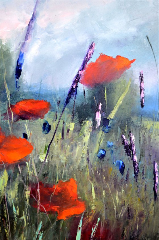 Poppy meadow