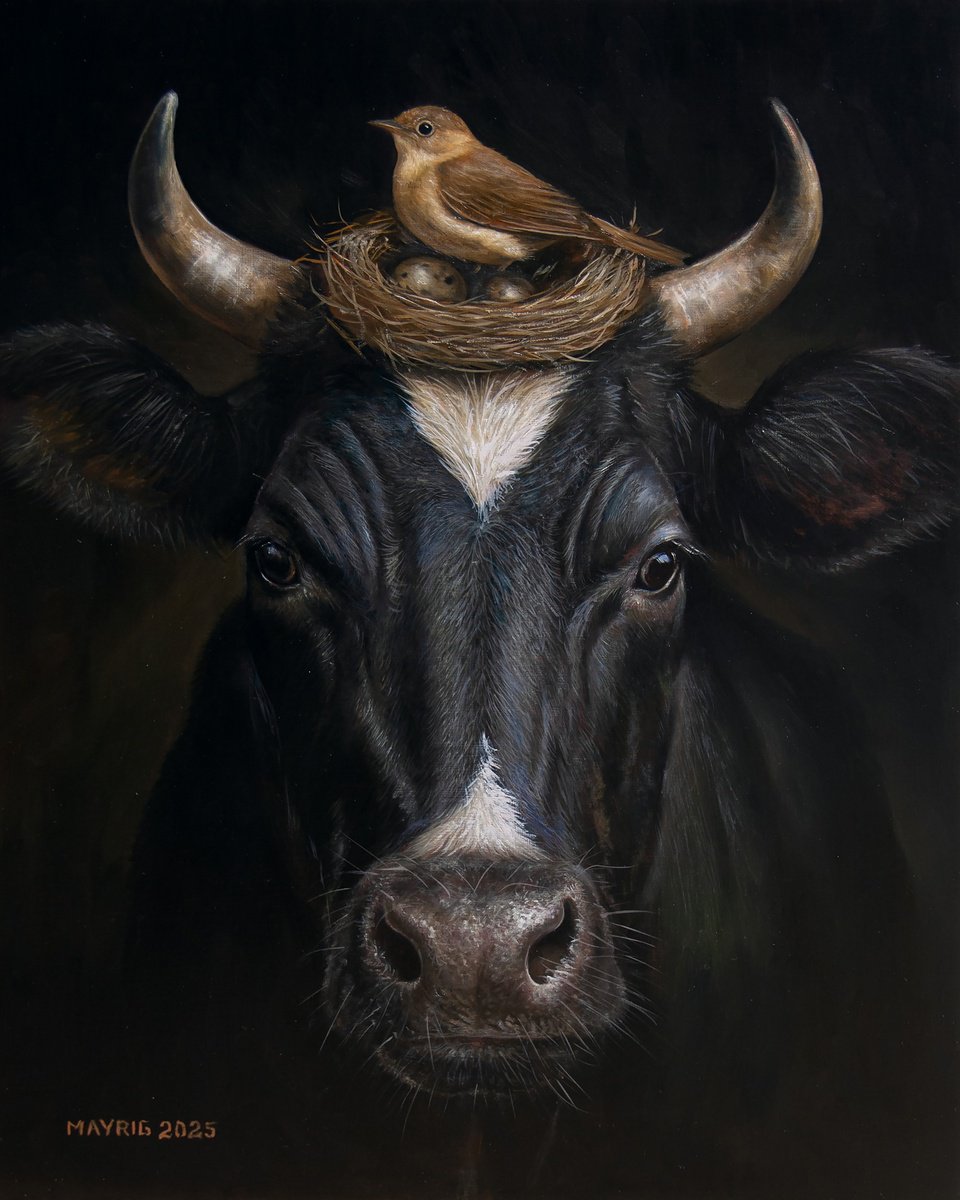 Photorealistic Oil Painting , Cow Bird By Mayrig Simonjan, 16 X 20, Artwork For Sale On Artfinder