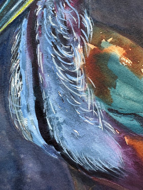 Agami Heron