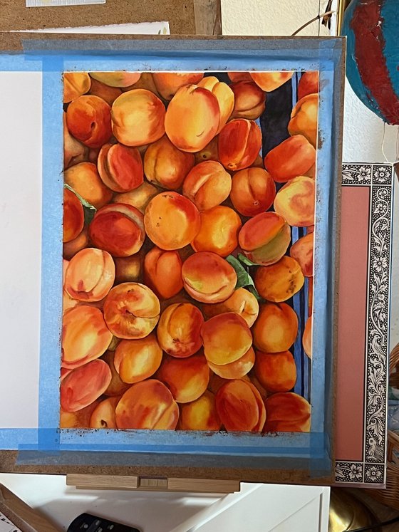 Apricots