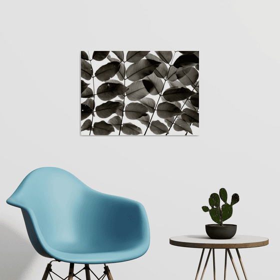 Branches and Leaves I | Limited Edition Fine Art Print 1 of 10 | 60 x 40 cm