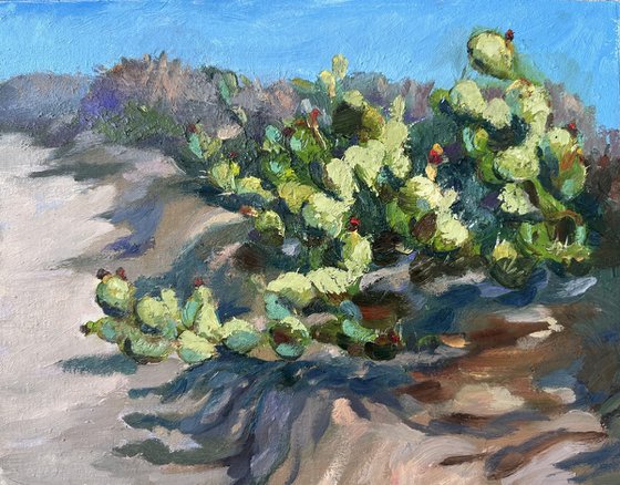 Prickly Melodies