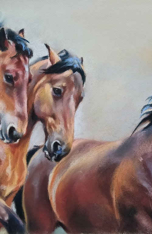 three-horse team by Magdalena Palega