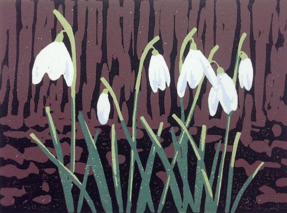 A Promise of Snowdrops