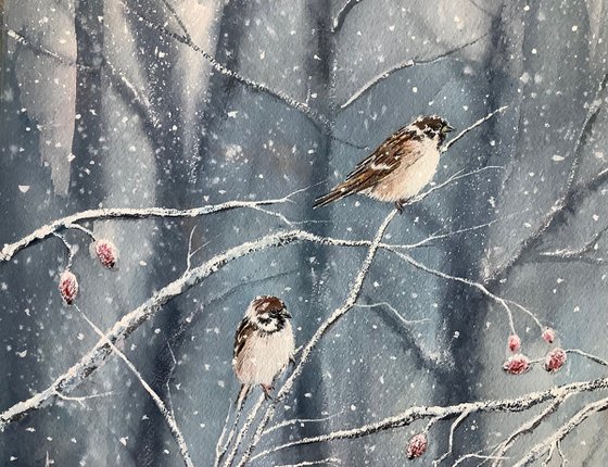 Sparrow’s in winter