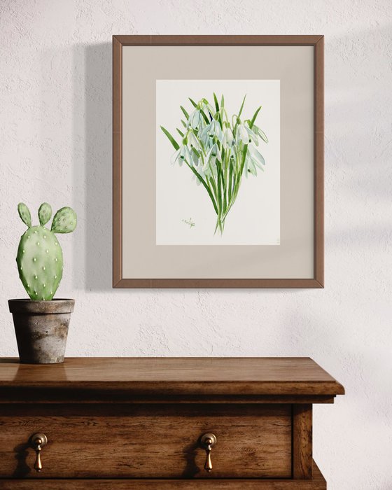 Snowdrop watercolor flowers