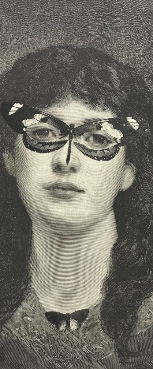 Night butterfly by Tudor Evans