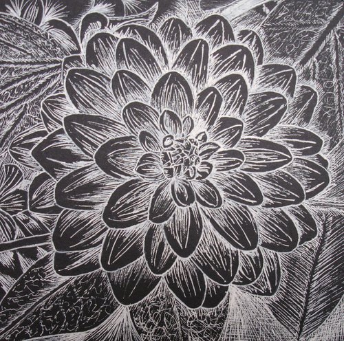 DAHLIA FLOWER 5 by Angela Stanbridge