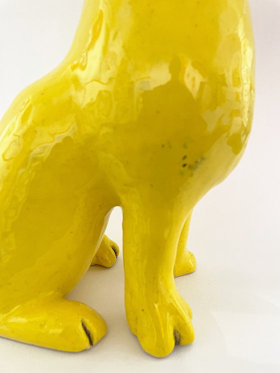 Yellow rabbit