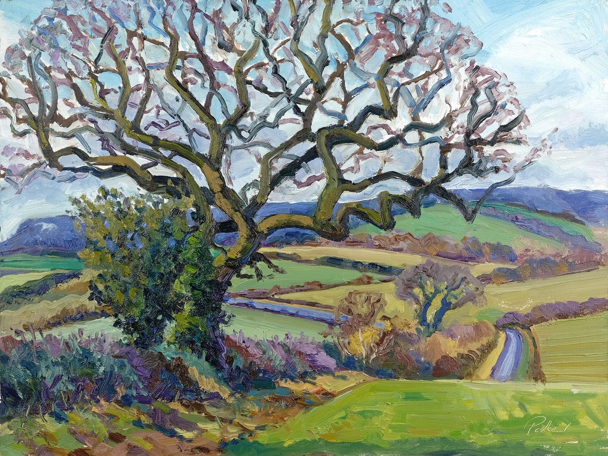 Impressionistic Landscape Oil Painting By Jeff Parker, 16 X 12, Winter Hues, Silent Fields, Original Artwork