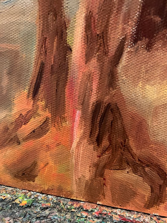 Canyon Study