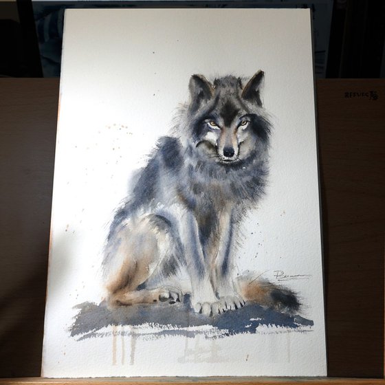 Sitting Wolf
