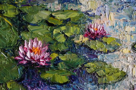 Water Lily Pond