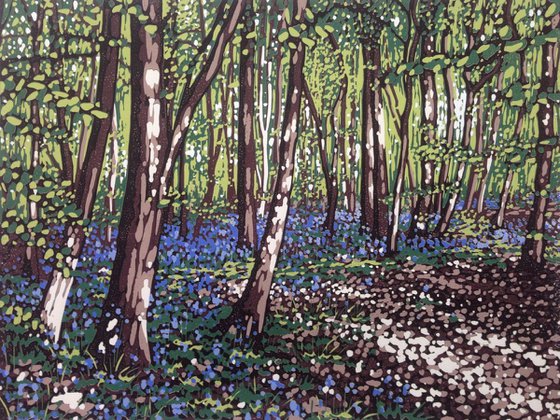 Bluebells and Sunlight