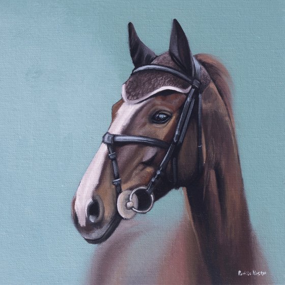 Horse Portrait 41