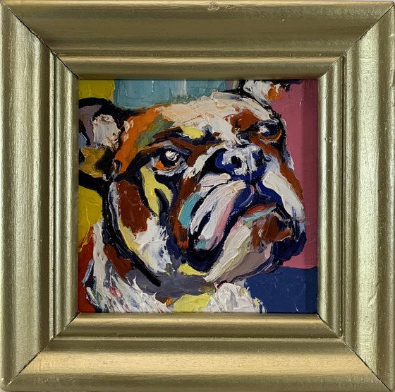 Colorful Bulldog.