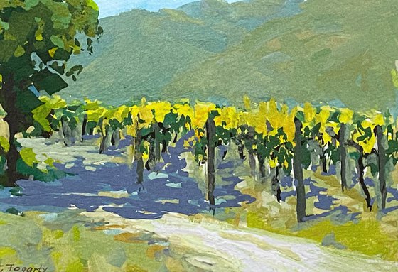 Carmel Valley Vines Landscape