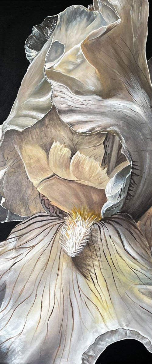 Unspoken Iris by Valeriia Obertas