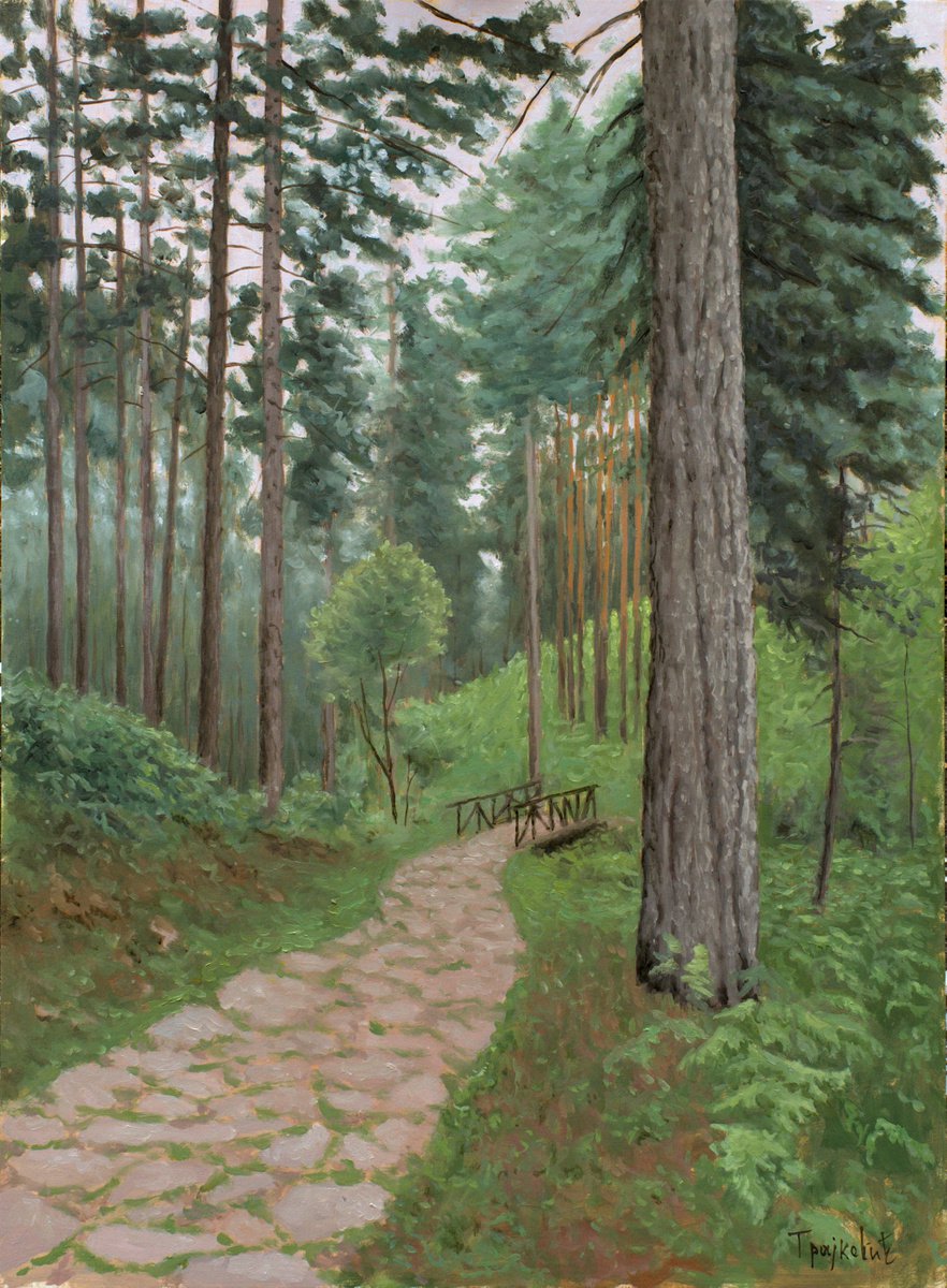 Forest Trail by Dejan Trajkovic