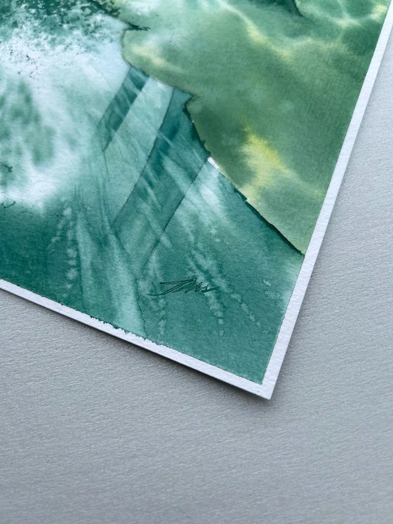 Summer Forest Landscape