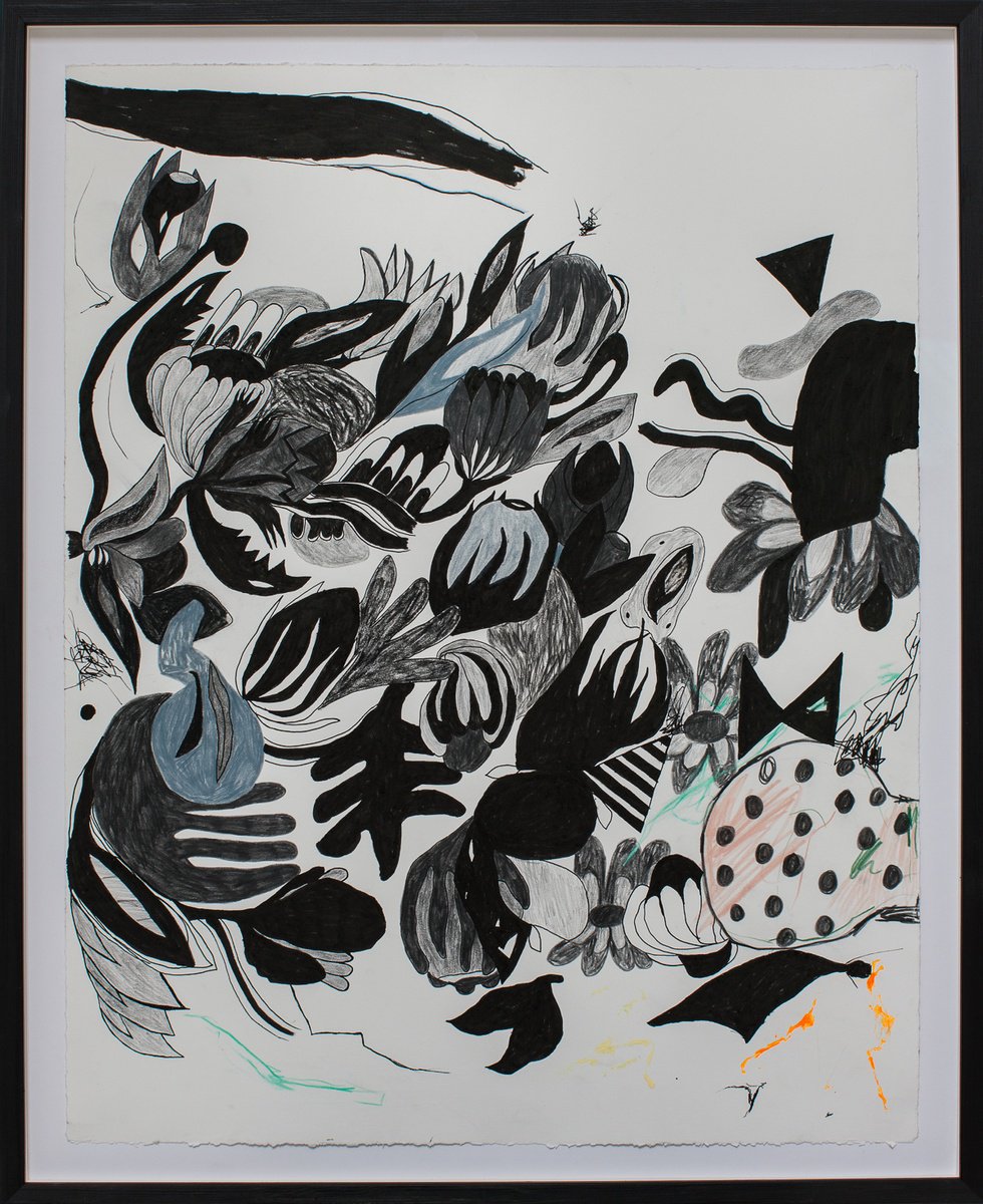 Organic Drawing , The Black Garden By Heidi P, 25 X 31, Artwork For Sale On Artfinder