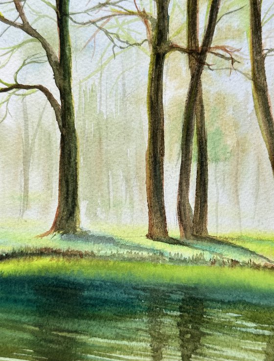 Green Reflections of Spring