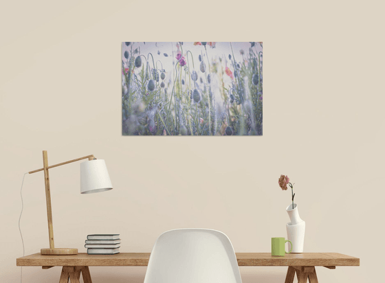 Watercolour style poppies