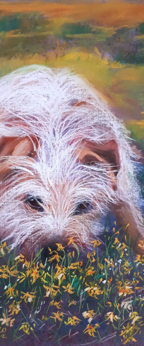 Spring has come again... / FROM THE ANIMAL PORTRAITS SERIES / ORIGINAL PAINTING by Salana Art Gallery