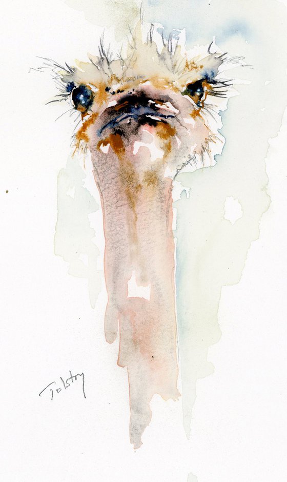 Ostrich