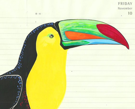 Birds of South America: Keel Billed Toucan