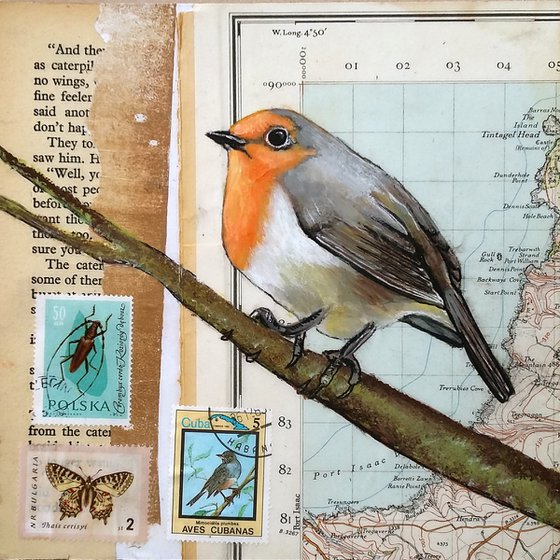 Robin- Ornithology #10 - Framed ready to hang original painting