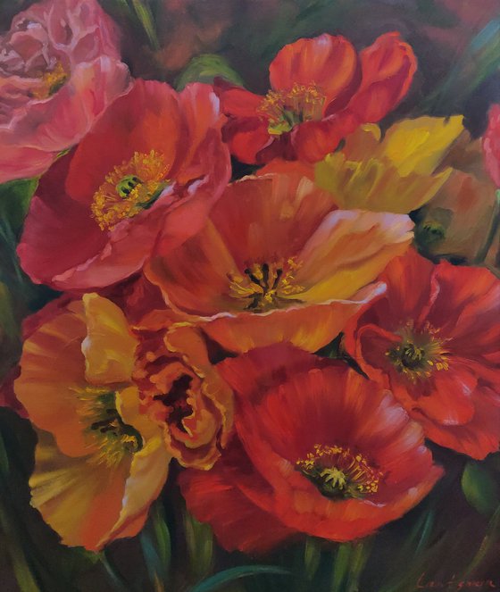 Poppies, Original oil painting