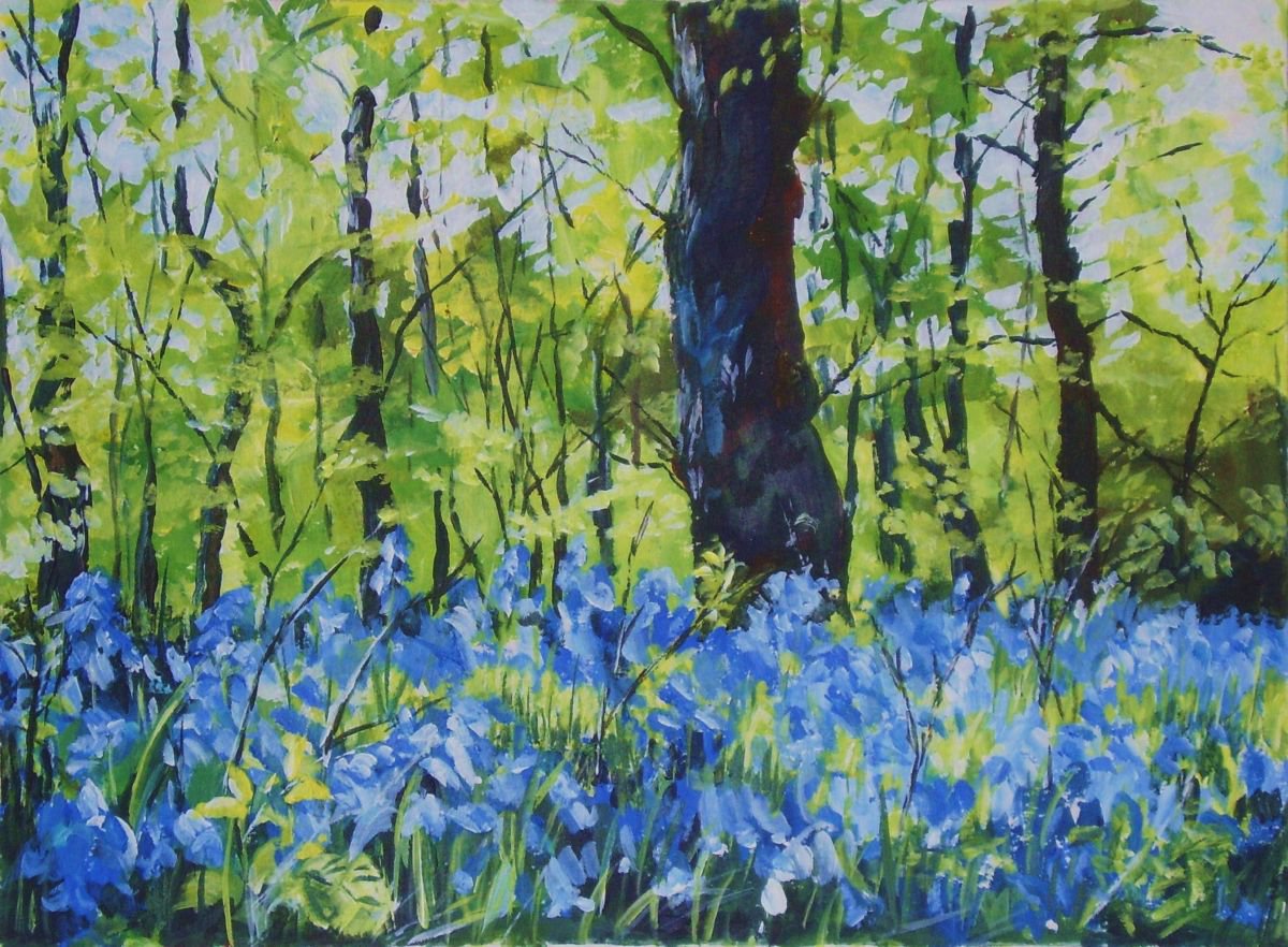 Bluebell Woods 4 by Max Aitken