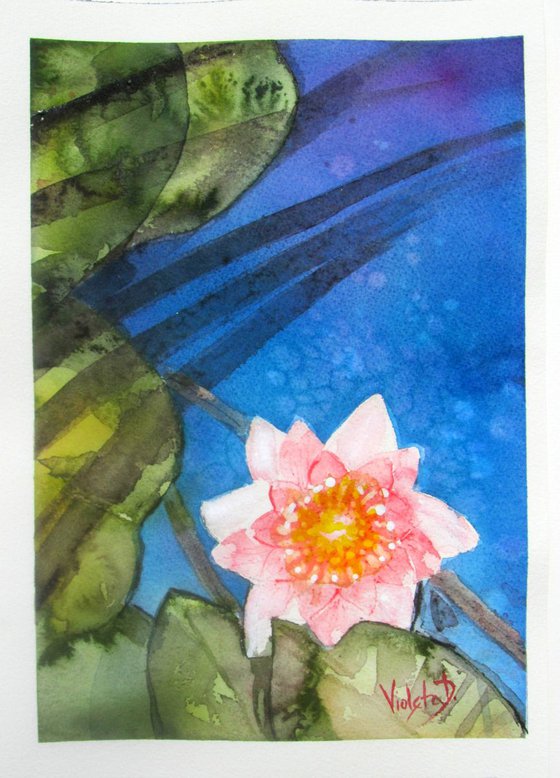 Waterlily 2