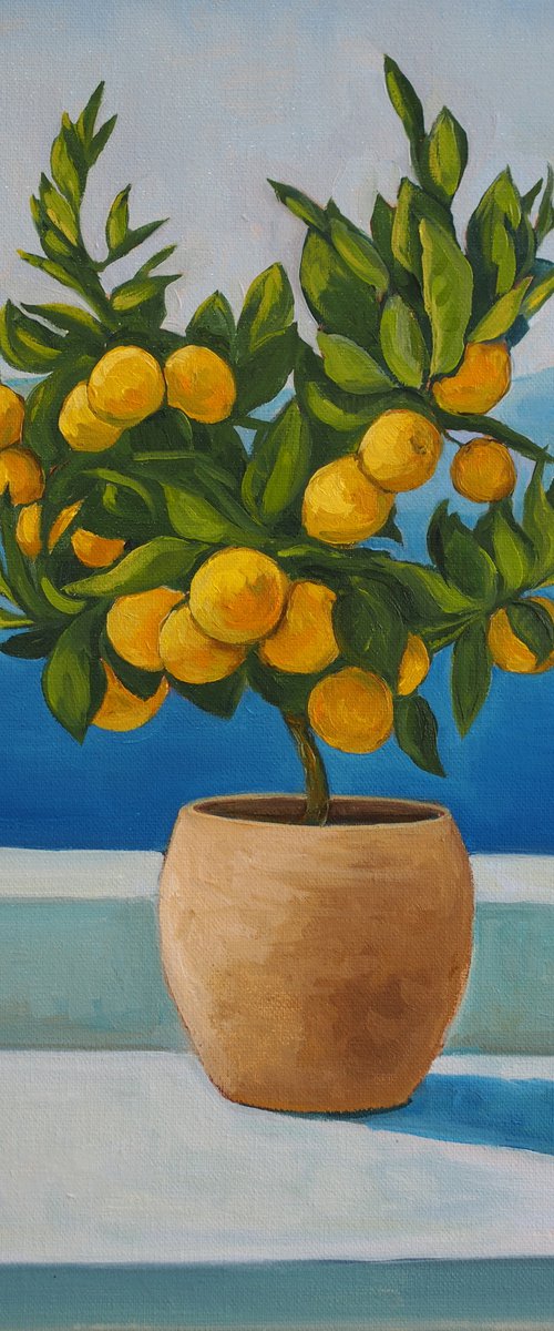 Tangerine tree by Alfia Koral