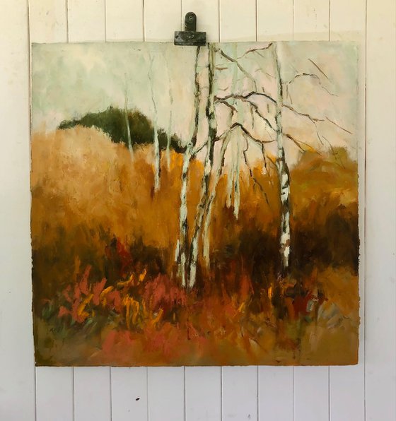 Spindly Birches