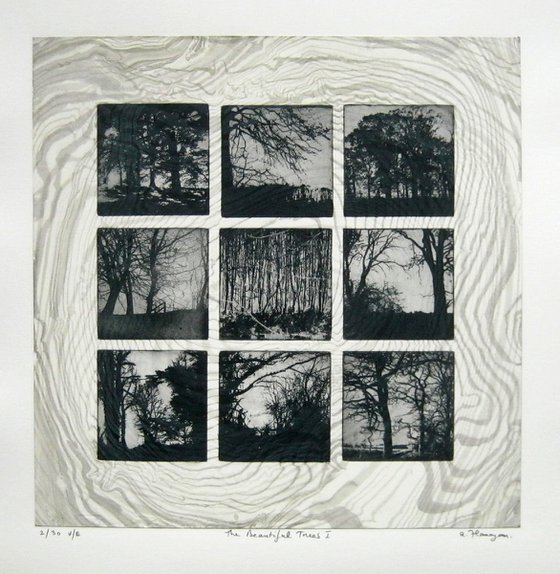 The Beautiful Trees No.1