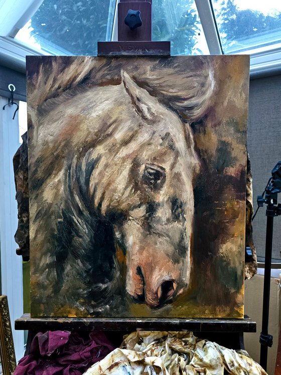 Wounded-Original Horse Portrait