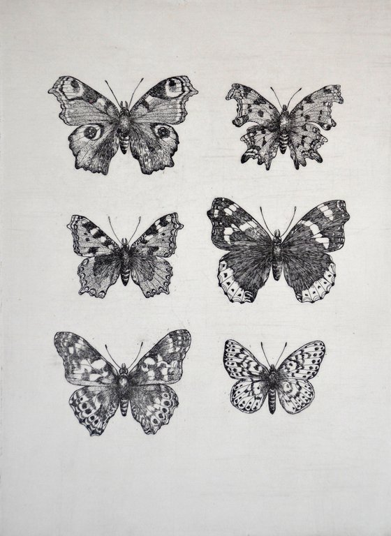 British Butterflies