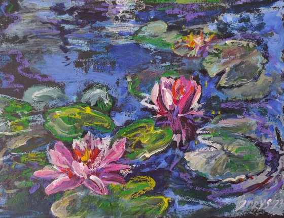 Small lilies in the water