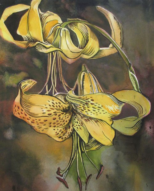 yellow lilies by Alfred  Ng