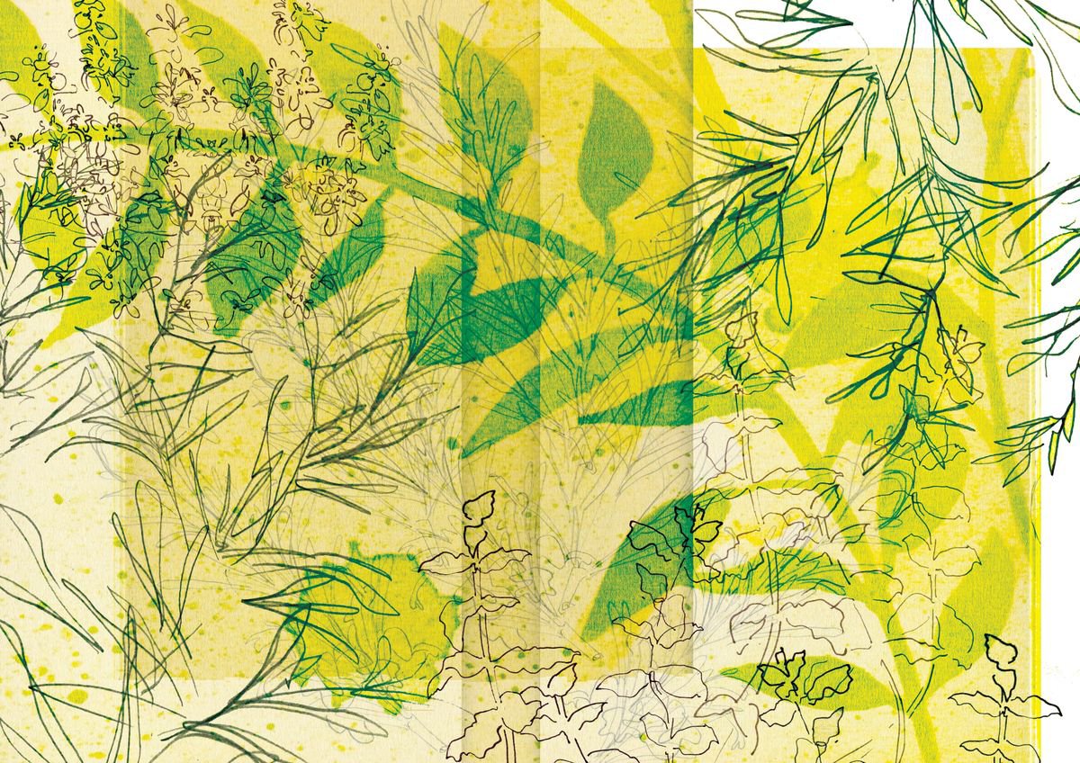 Herbs, Food Illustration: Digital Collage Limited Edition by Hannah Clark