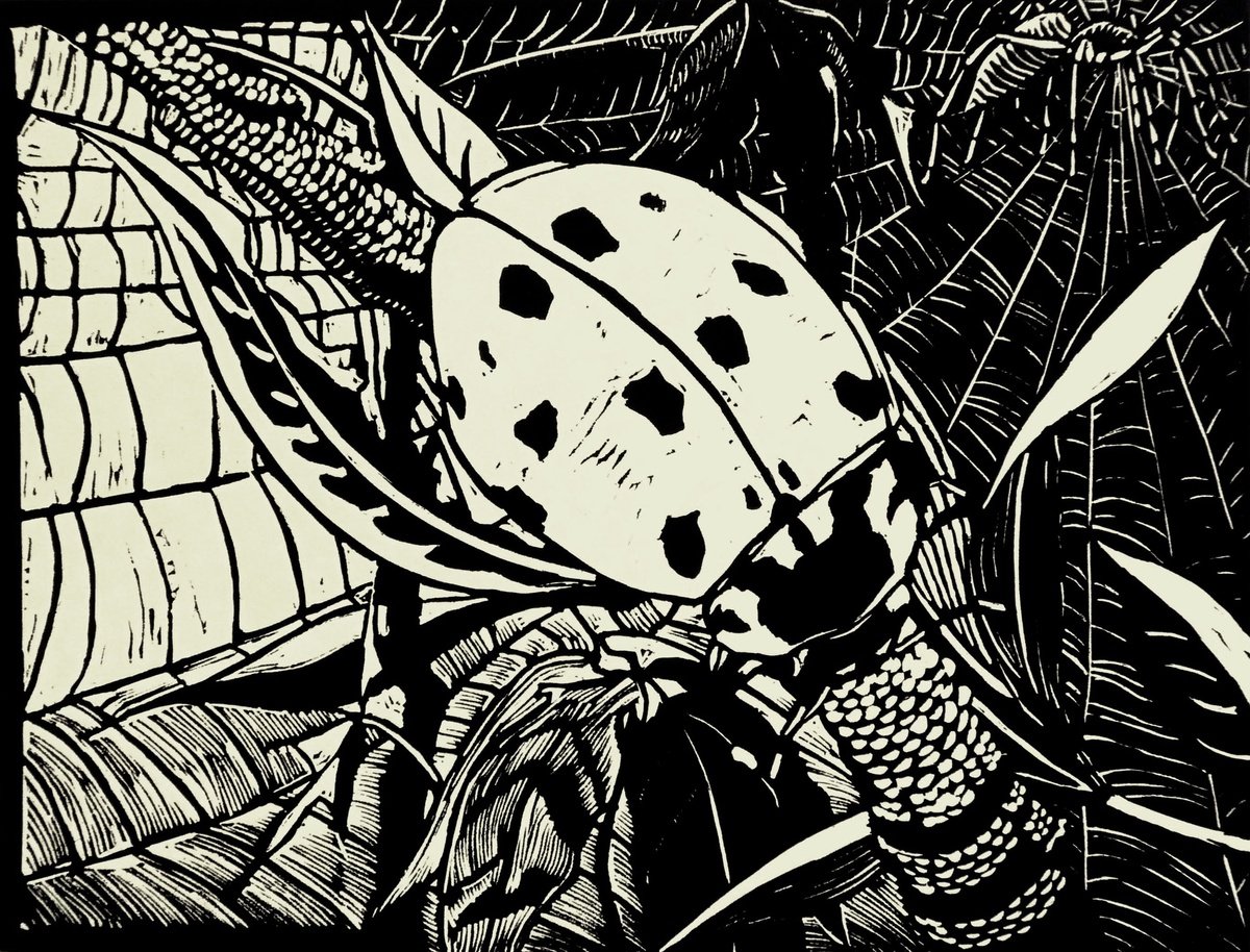 Animal Linocut By Rebecca Coleman, 15 X 14", Enemy No 1, Original Artwork