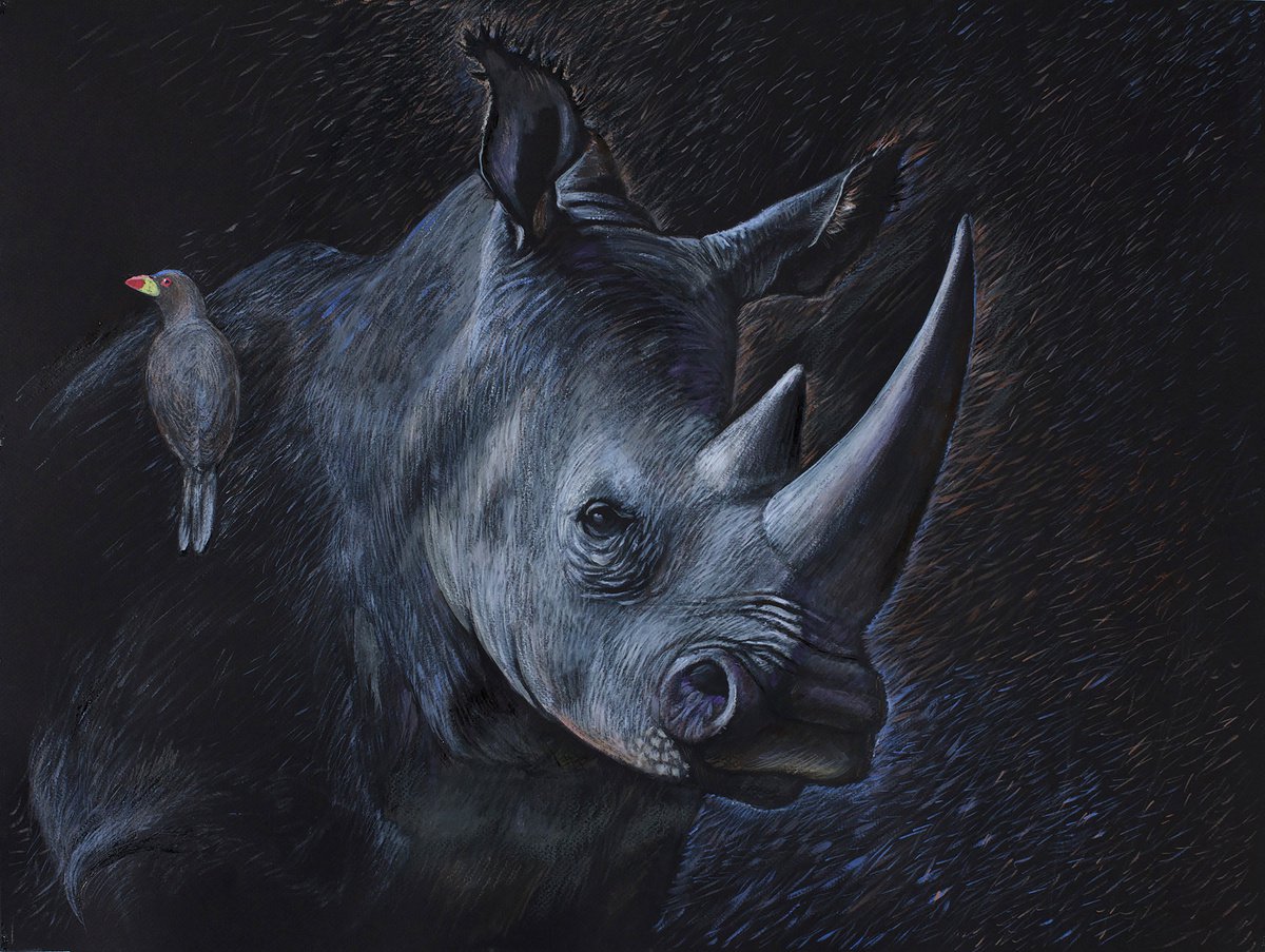 rhinoceros by Galina Khandova