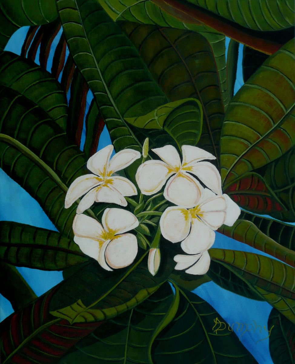 In The Tropics by Dunphy Fine Art