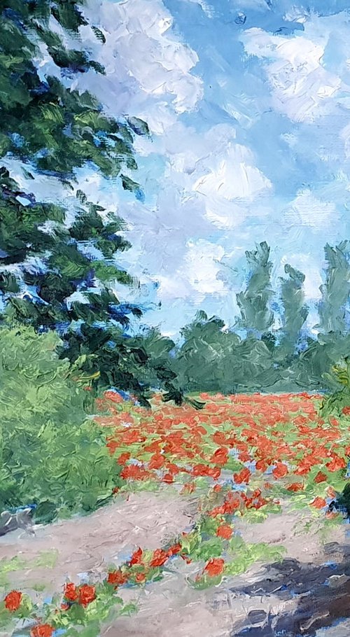 poppy field 6 by Colin Ross Jack