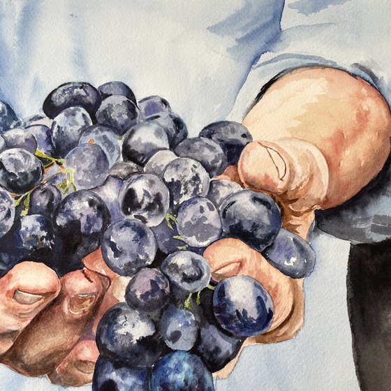 Harvest Bliss: Farmer's Hands with Grapes