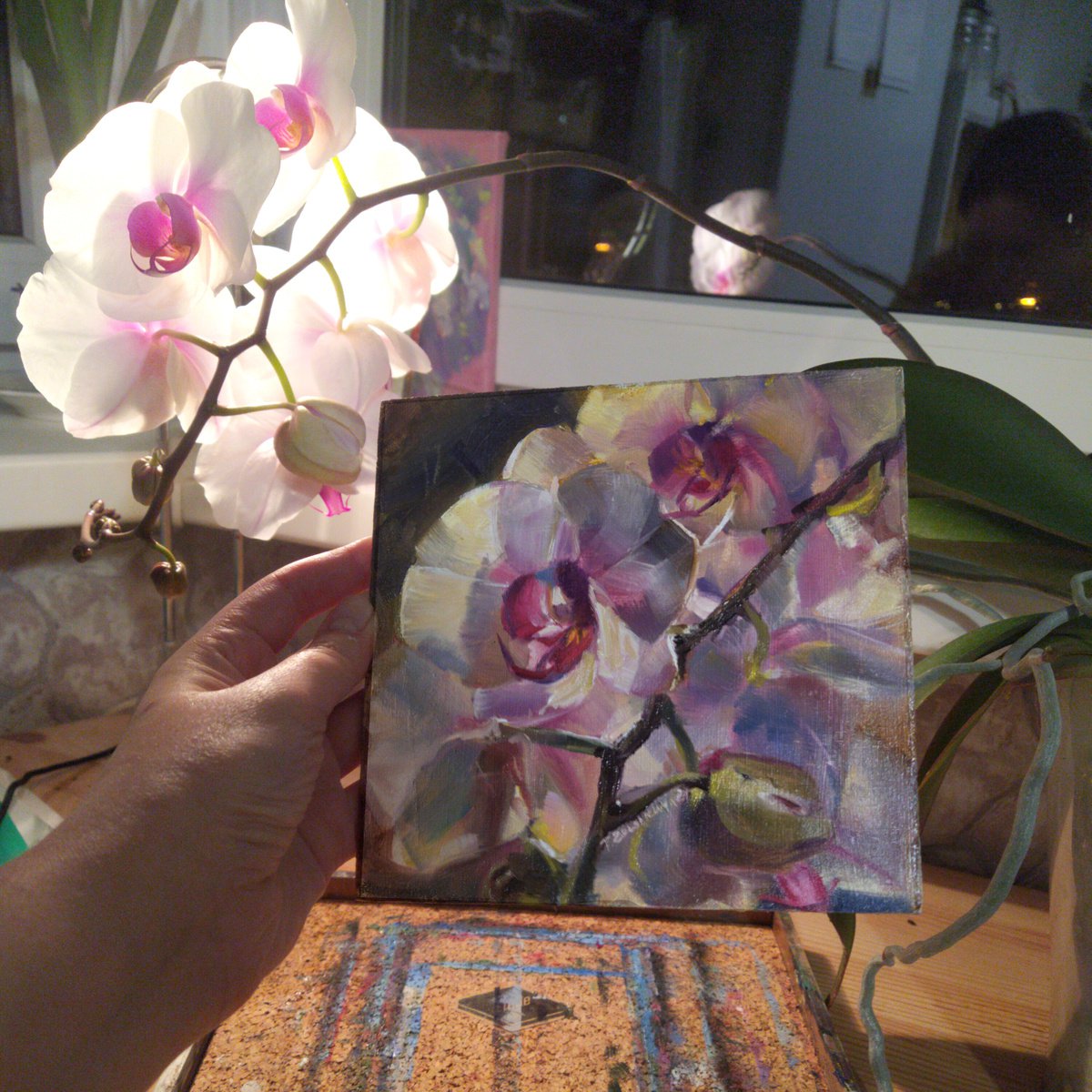 Evening Phalaenopsis Orchid by Tatiana Gogolkina